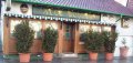 Alte Schule