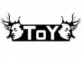 ToY